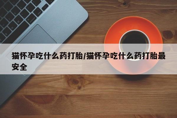流产药联系方式猫怀孕吃什么药打胎/猫怀孕吃什么药打胎最安全