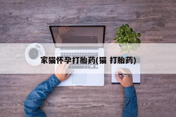 流产药联系方式家猫怀孕打胎药(猫 打胎药)